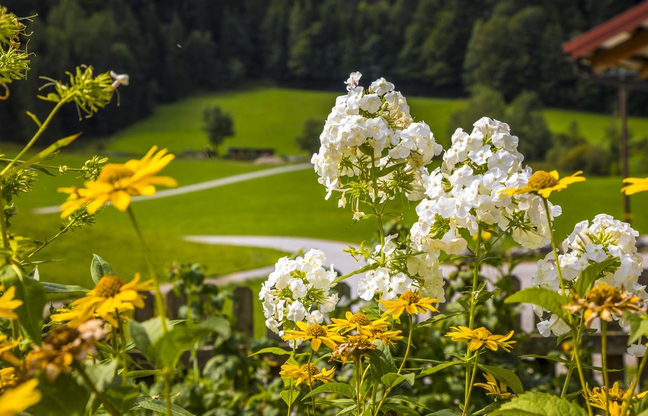 Wohlfuehlbauernhof Bambichlhof Villa Fuschl am See Kültér fotó