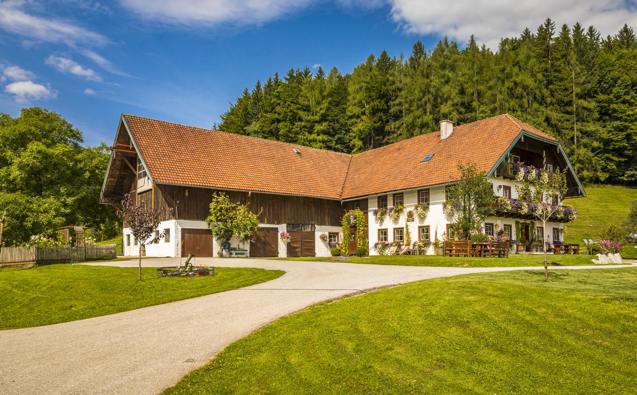 Wohlfuehlbauernhof Bambichlhof Villa Fuschl am See Kültér fotó