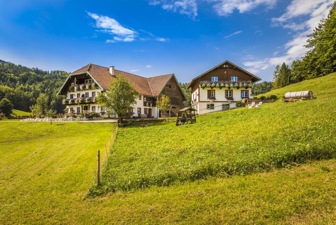 Wohlfuehlbauernhof Bambichlhof Villa Fuschl am See Kültér fotó