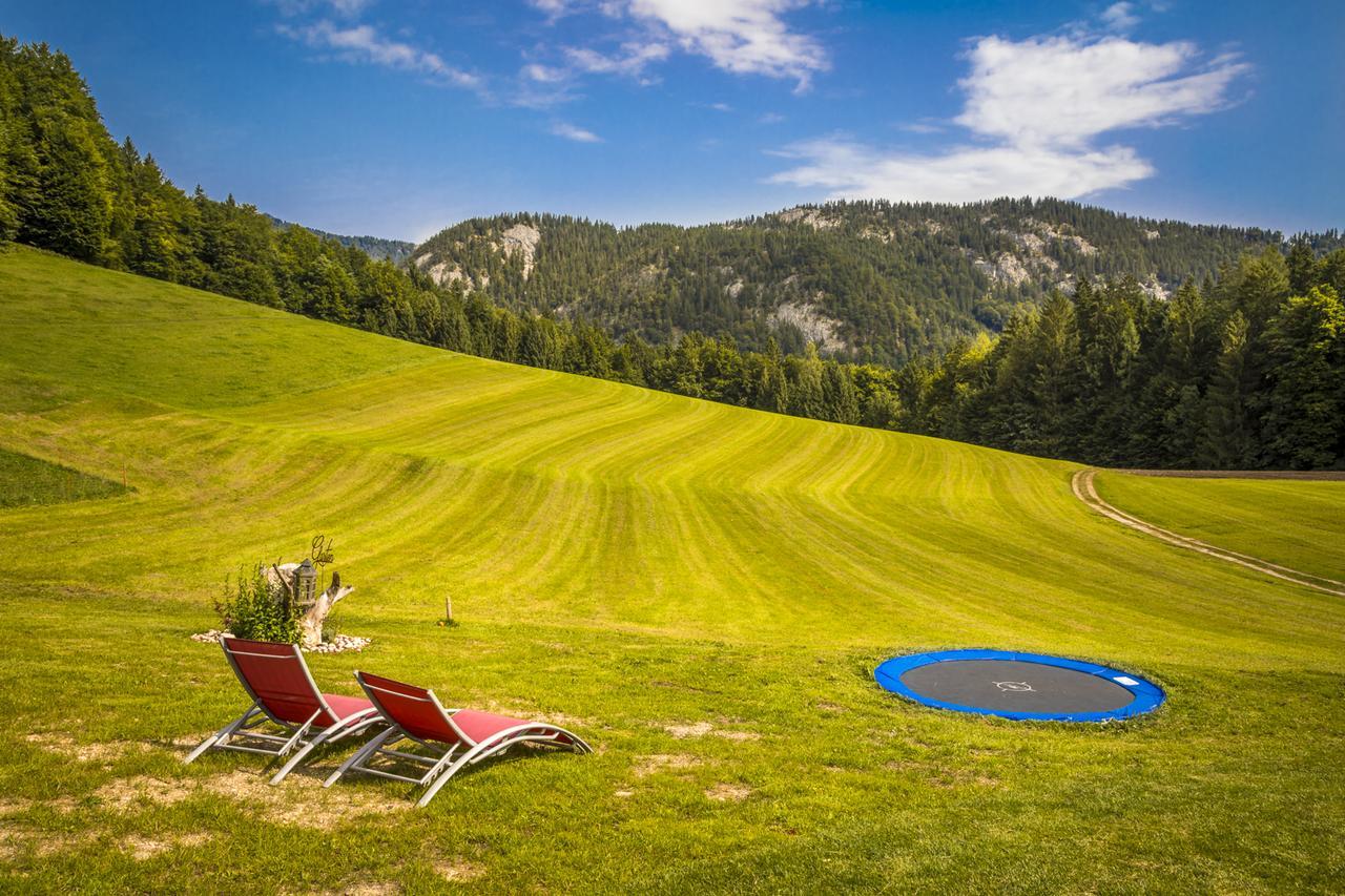 Wohlfuehlbauernhof Bambichlhof Villa Fuschl am See Kültér fotó